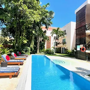 https://centro-playa-carmen-apartment.tulum-hotels.net